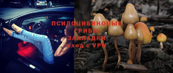 спайс Абдулино