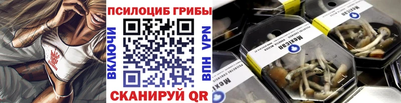 hydra как войти  Ряжск  Галлюциногенные грибы Psilocybine cubensis 
